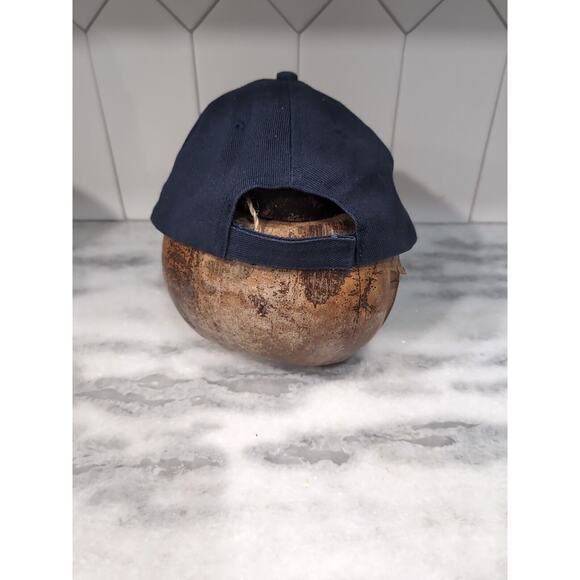 Seattle Seahawks Hat Cap, NFC West 2013 Champions, Team Logo Football‎ Cap - Picture 4 of 7